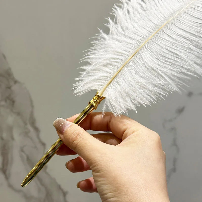 High Quality White Ostrich Quill Pen with Black Gift Box