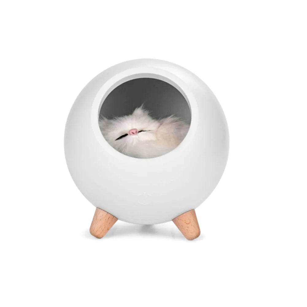 Cute Cat LED Night Lamp USB Charging Bedroom Decorative Lamp Bedside Desk Table Light For Children Kids Holiday Baby Gifts
